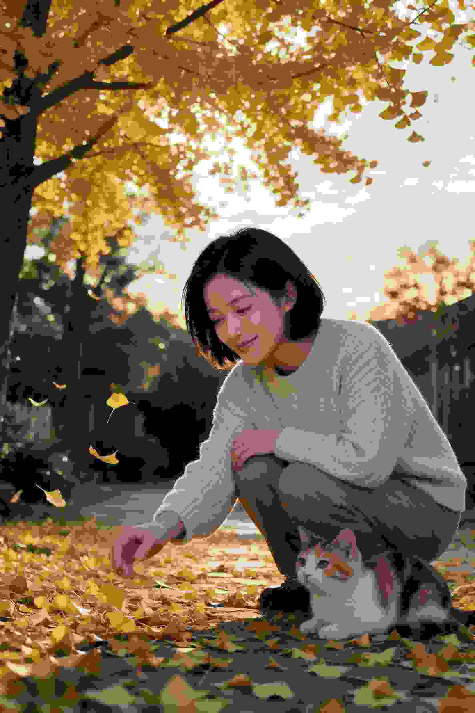 婚礼前的秘密